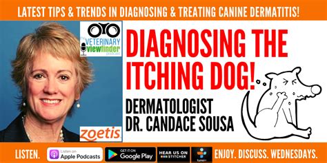 Diagnosing A Dogs Itching With Veterinary Dermatologist Candace Sousa