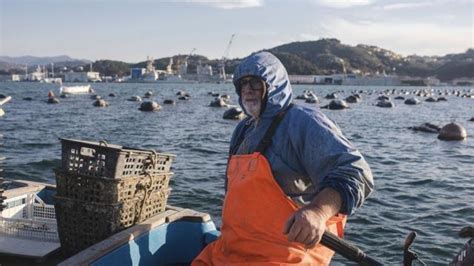 Mudan As Clim Ticas O R Pido E Recente Aquecimento Dos Oceanos Que