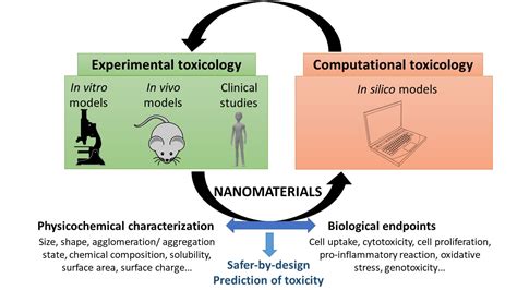 Nanomaterials Free Full Text Experimental And Computational