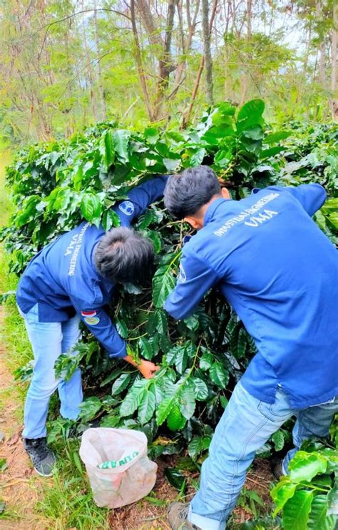 Kegiatan Hibah Penelitian Dana Internal Yayasan DIYA UMA Anggaran