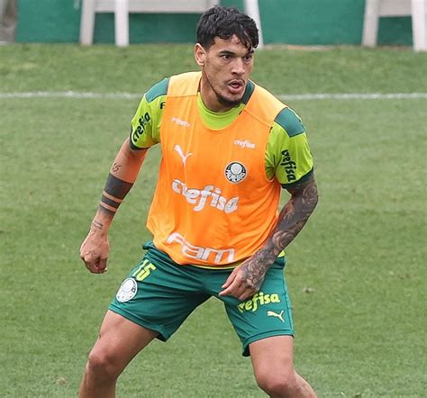 Gustavo G Mez Lamenta Derrota Para Flamengo Mas N O Descarta Palmeiras