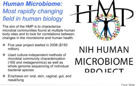 30 The Human Microbiome Flashcards Quizlet