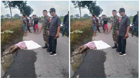 Jasad Wanita Ditemukan Tergeletak Di Pinggir Jalan Namo Rube Julu