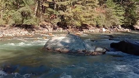 Moksha River Side Kasol Youtube