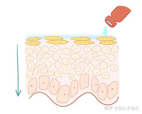 皮肤屏障究竟是什么？你不知道的三大皮肤屏障受损表现？ 知乎