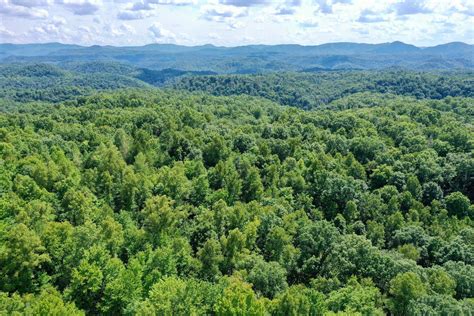 Duff, Campbell County, TN Recreational Property, Timberland Property