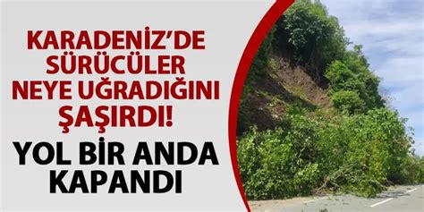 Artvin De S R C Ler Neye U Rad N A Rd Karadeniz Sahil Yolu Bir