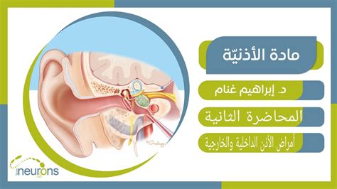 أذنية د إبراهيم غنام المحاضرة الثانية أمراض الأذن الخارجية والداخلية