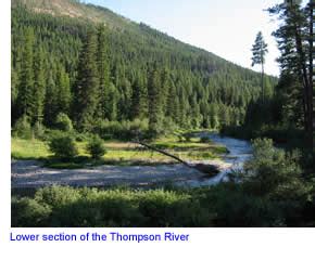 The Thompson River in Northwest Montana : Detailed Rafting and Paddling ...