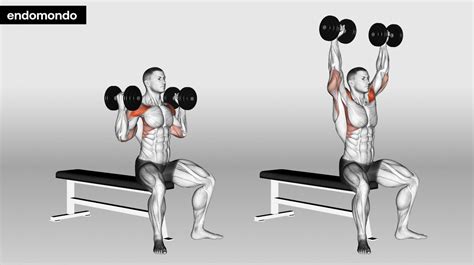 Overhead Press Variations: 7 Moves To Build Muscle In 2025