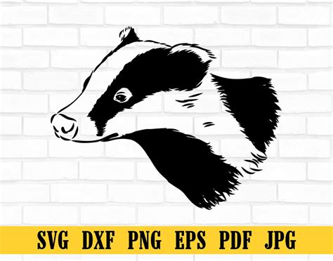 Curious Badger Svg Honey Badger Svg Badger Svg Badger Clipart