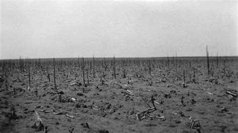 Grasshopper Plague Of The Great Plains Legends Of Kansas