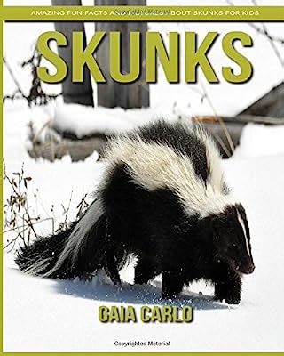 Natural Big View Interesting Facts About Skunks