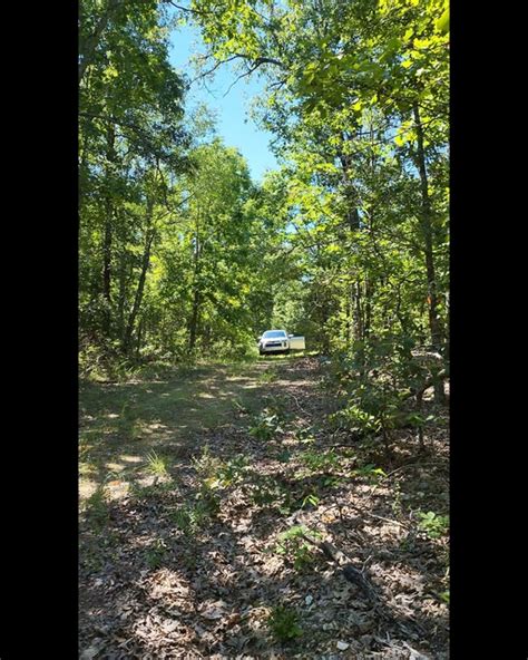 Land For Sale In Arkansas Down A Month Land Real Estate