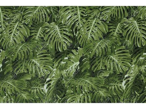 Tecido Jacquard Muro Ingl S Verde D Costela Ad O M X M