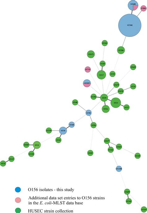 Minimum Spanning Tree Based On The Multilocus Sequence Typing Allelic