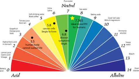 Understanding pH Levels – Alywillow