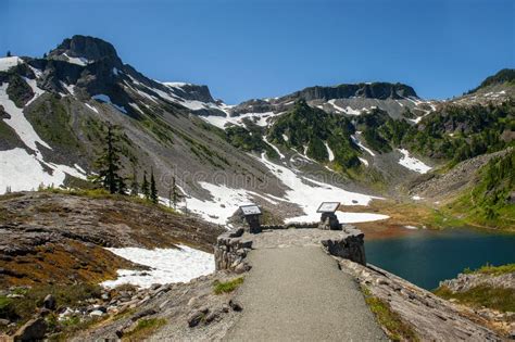 Heather Meadows Loot Mt Baker Washington Foto De Archivo Imagen De