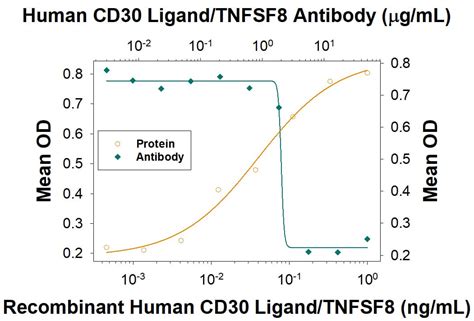 Human Cd Ligand Tnfsf Antibody Mab R D Systems