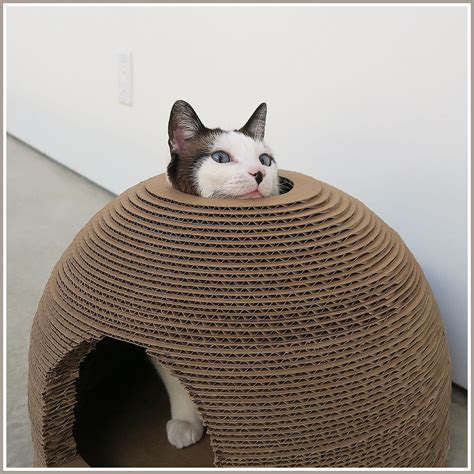 Spectacular Cat Houses Made Entirely Out Of Cardboard Artofit