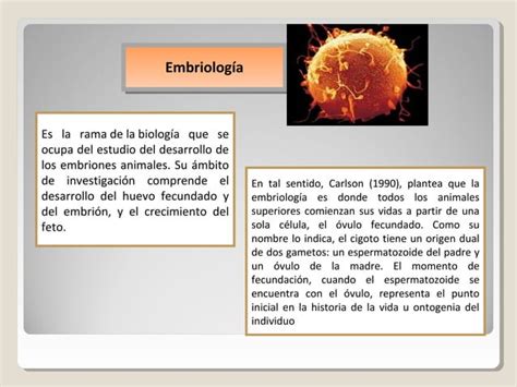 Presentación desarrollo embrionario PPT