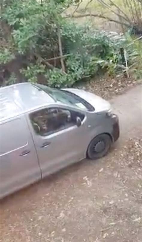 Amazon delivery driver sacked after "opening customers packages"