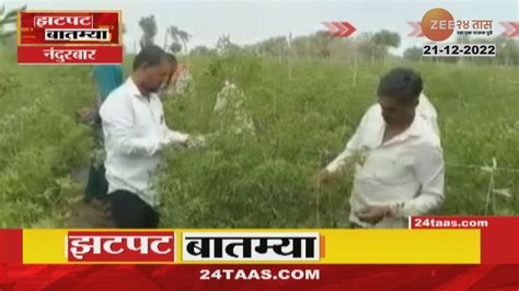 Zatpat Fast News झटपट फसट बतमय Part 1 21st December 2022