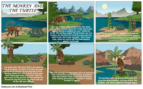 Monkey And Turtle Storyboard Par C6234a6b