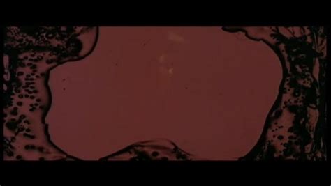 Pussy Talk French Language Streaming Video On Demand Adult Empire