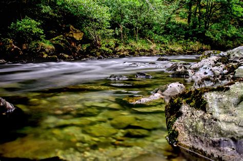 Fotos Gratis Paisaje Rbol Naturaleza Bosque Rock Arroyo