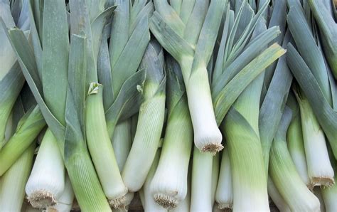 How To Use Leek Scraps Tasty Recycling Ideas And Recipes