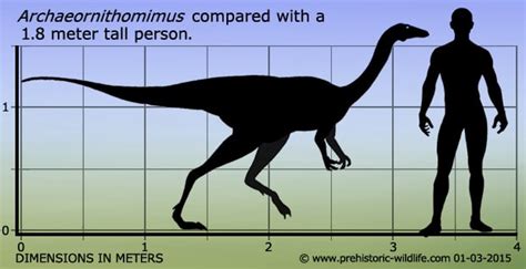 Archaeornithomimus - Alchetron, The Free Social Encyclopedia