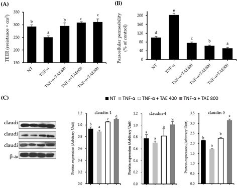 Preventive Effects Of Thinned Apple Extracts On Tnf Induced