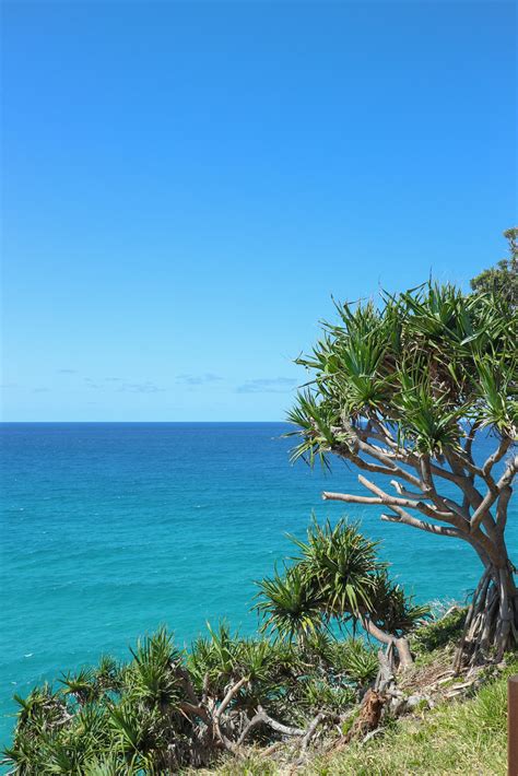 Official North Stradbroke Island And Straddie Information Website