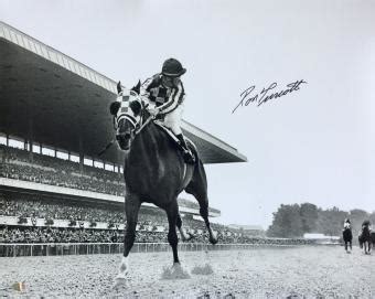 Secretariat Memorabilia