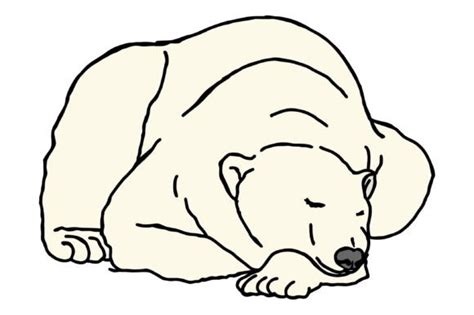 Sleeping Polar Bear Vector Graphic by Arief Sapta Adjie II · Creative ...