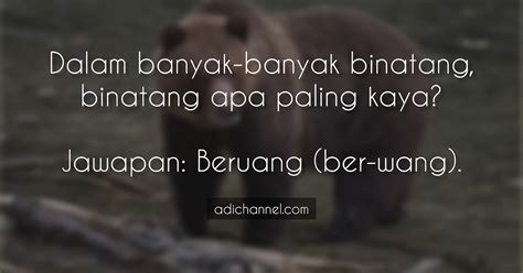 Koleksi Teka Teki Lawak, Bodoh, Kelakar 2022 Dan Jawapan - Adi Channel