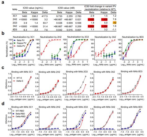 Neutralization Breadth And Binding Properties Of The Mabs 3c1 2h2 Download Scientific