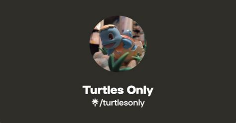 Turtles Only Twitter Instagram Tiktok Linktree