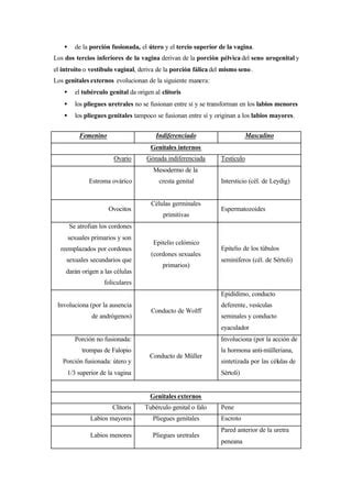 Sistema Reproductor Pdf