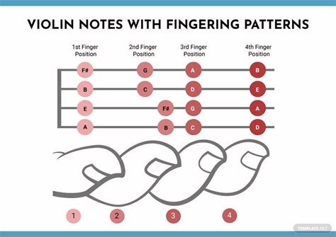 Violin Notes Chart in Illustrator, PDF - Download | Template.net