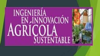 Ingenier A En Innovaci N Agr Cola Sustentable Ppt