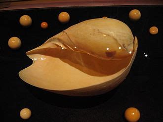 Pearl - Wikipedia