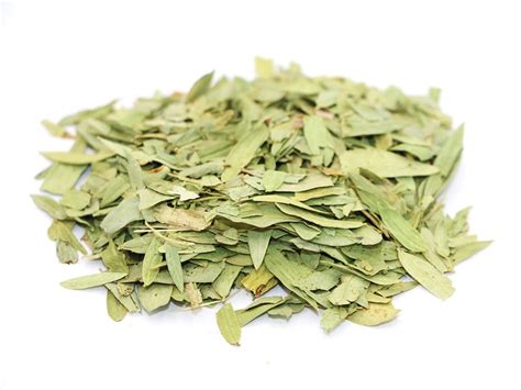 Senna Leaf Tea Organic Senna Leaf Tea Dried Senna Leaves 1 | Etsy