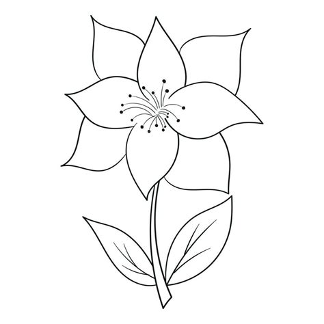 Hand Drawing Flower Vector Outline Illustration 23977382 Vector Art At