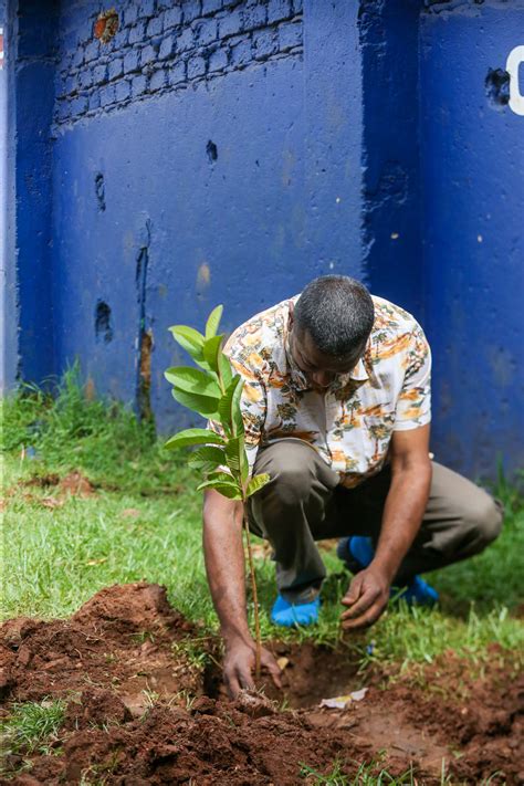 Kcca Rotary Club Of Kampala 7 Hills To Plant 20000 Trees In City