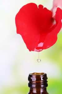 oil from rose petal