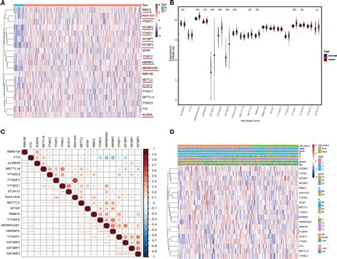 Frontiers Identification And Validation Of Signature For Prognosis