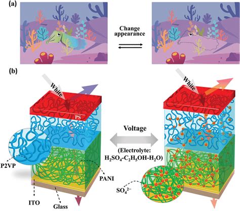 a) Cephalopods achieve adaptive camouflage by using chromatophores and ...