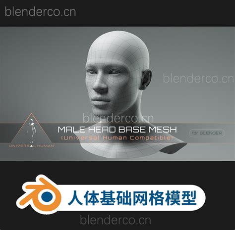 Blender通用人体部位基础网格模型绑定插件 Universal Human Male Base Mesh V21人体基础模型素模